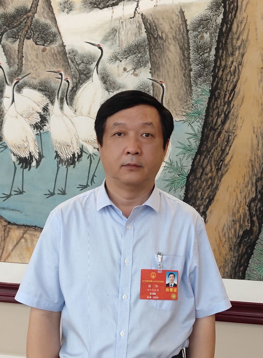 2.全国人大代表、中国科学院院士、乐鱼在线体育（上海）有限公司副总经理杨伟